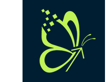 Digital Transformation Academy
